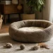 Comment trouver un panier pour chat confortable : conseils sur la taille, la matière et le bien-être Comment trouver un panier pour chat confortable : conseils sur la taille, la matière et le bien-être